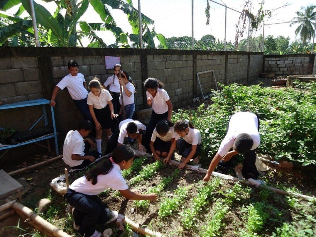 Image: Green Leaders [6 weeks]