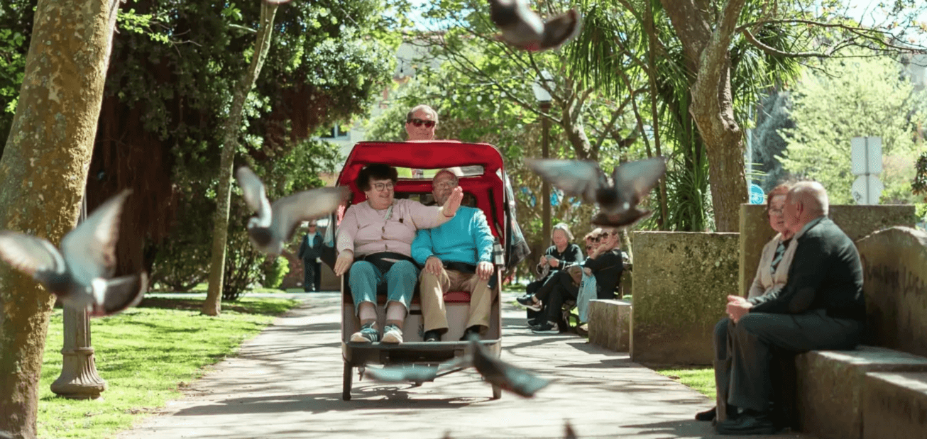 Image: Equify [8 weeks]