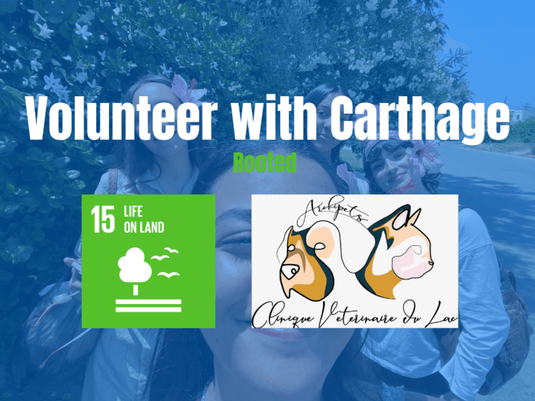 Image: Rooted [4 weeks]