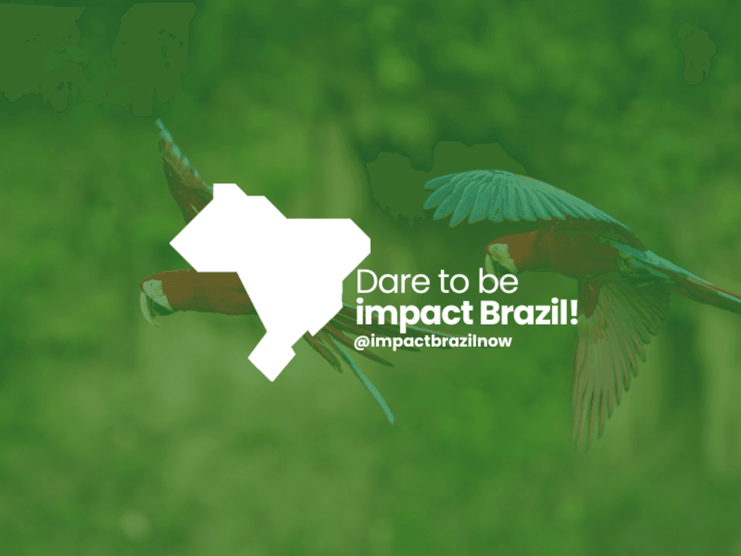 Image: [Impact Brazil]- Italian Teacher