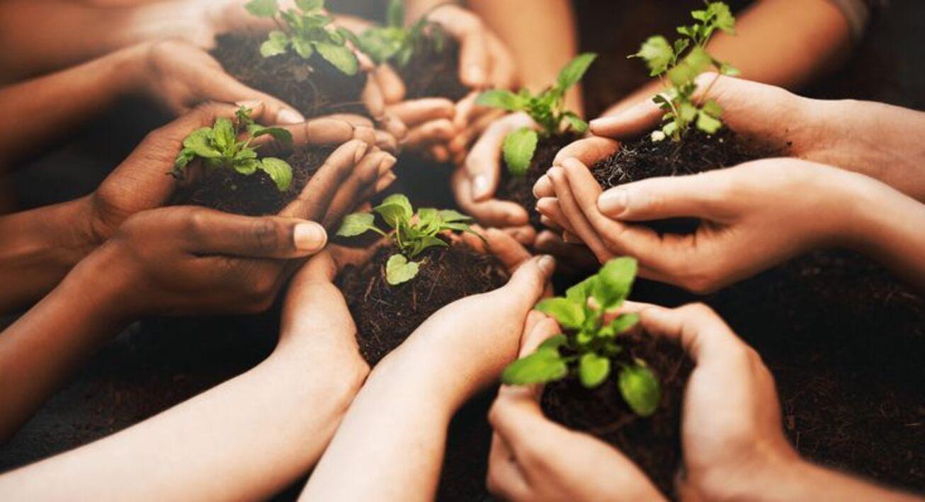 Image: Green Leaders [4 week]