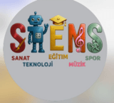 STEMS - Company Logo