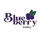  Blue berry Kids academy - Company Logo