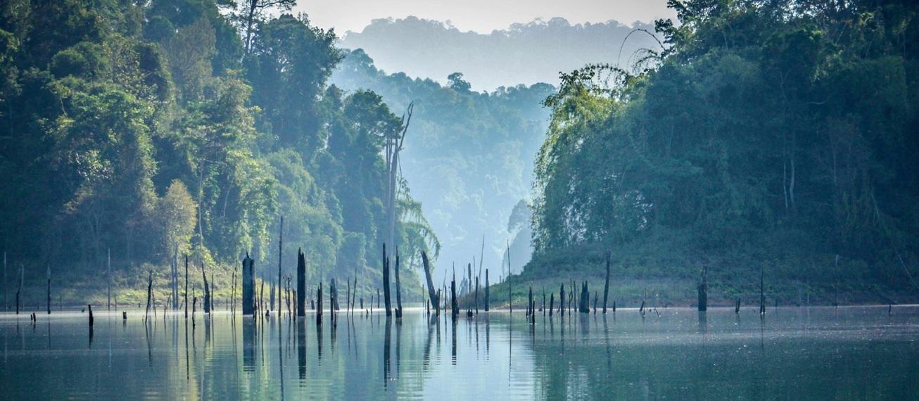 Image: Green Leaders [4 week]