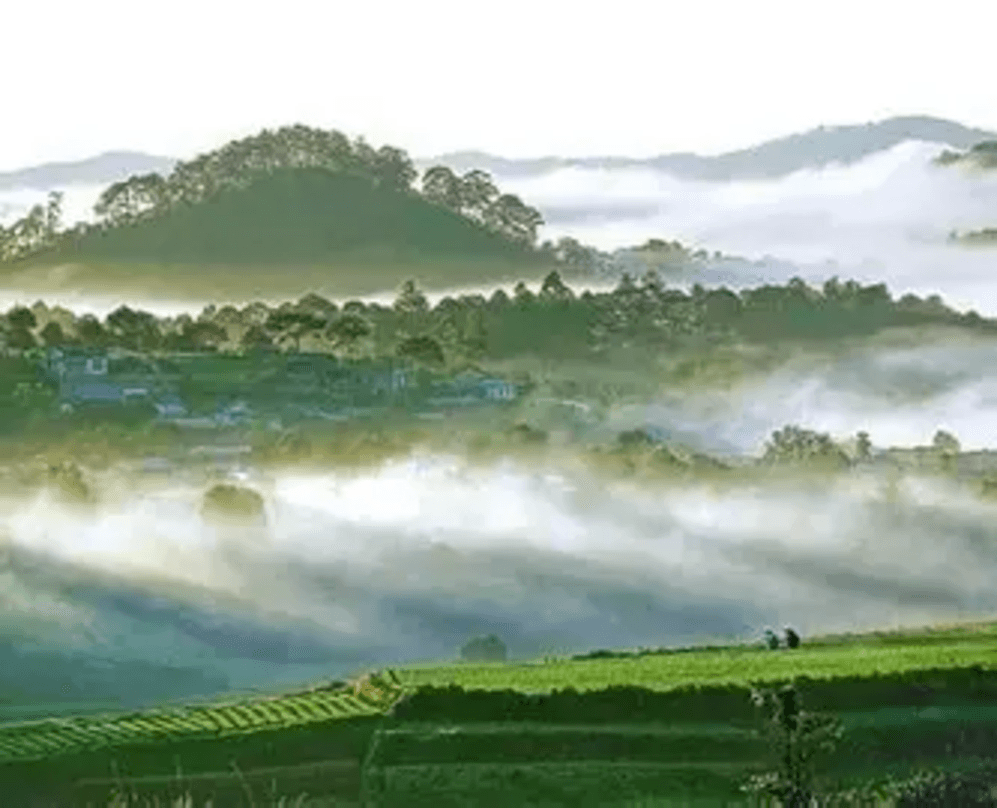 Image: On the Map [6 weeks]